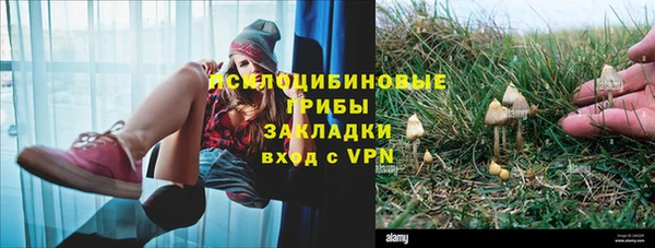дживик Нязепетровск