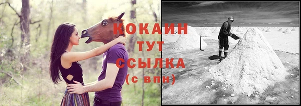 a pvp Няндома