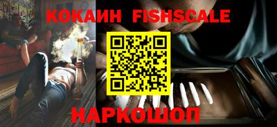 индика Рузаевка