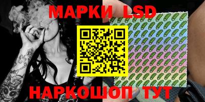 индика Рузаевка