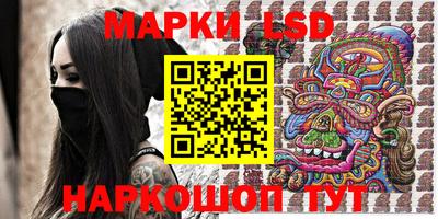 индика Рузаевка