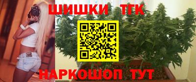 индика Рузаевка