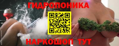 индика Рузаевка