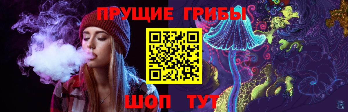Сегежа  Псилоцибиновые грибы GOLDEN TEACHER  Вход с VPN 
